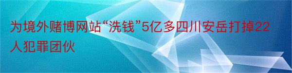 为境外赌博网站“洗钱”5亿多四川安岳打掉22人犯罪团伙