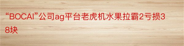 “BOCAI”公司ag平台老虎机水果拉霸2亏损38块