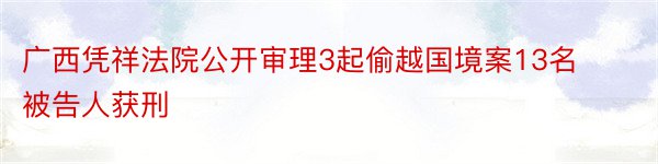 广西凭祥法院公开审理3起偷越国境案13名被告人获刑