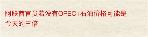 阿联酋官员若没有OPEC+石油价格可能是今天的三倍